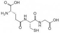 Gold Biotechnology Inc L-Glutathione, Reduced 25 g