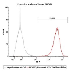 ACROBiosystems&nbsp;GUCY2C (Guanylyl Cyclase C)