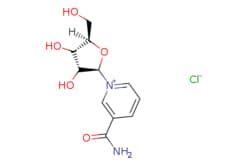 eMolecules​&nbsp;NICOTINAMIDE RIBOSIDE CHLORIDE | AstaTech | 23111-00-4 | MFCD27952781 | 290.700 | C11H15ClN2O5 | 95.000 | [Cl-].NC(=O)c1ccc[n+](c1)[C@@H]1O[C@H](CO)[C@@H](O)[C@H]1O | 1g | 449765195