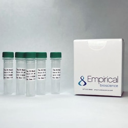 EMPIRICAL BIOSCIENCE&nbsp;Taq 2X MM 1000 reactions