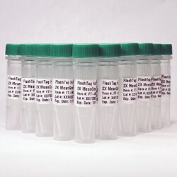 EMPIRICAL BIOSCIENCE&nbsp;FlashTaq HS 2X MeGr MM 250rx