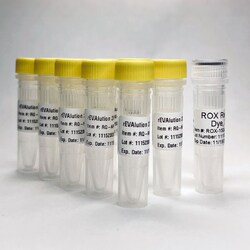EMPIRICAL BIOSCIENCE&nbsp;rEVAlu 2X qPCR MM ROX 500 rx