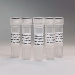 EMPIRICAL BIOSCIENCE&nbsp;UltraPure dNTP 100mM 4 x 1ml