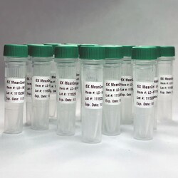 EMPIRICAL BIOSCIENCE&nbsp;6X MeGr Loading Dye 4x1ml