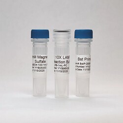 EMPIRICAL BIOSCIENCE&nbsp;BST Prime Pol 10X 2000u