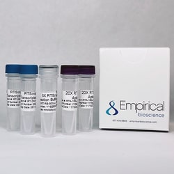 EMPIRICAL BIOSCIENCE&nbsp;ActiSCRIPT RT Kit, 200 rx
