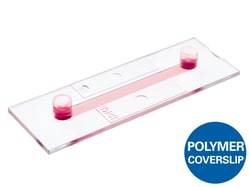 Ibidi USA&nbsp;µ-Slide I Luer Bulk Pack (90 slides)