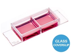 Ibidi USA µ-Slide 2 Well Glass Bottom Bulk Pack (90 slides)