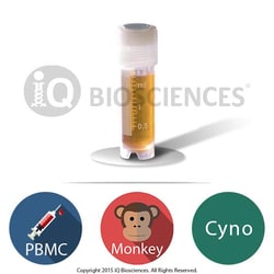 iQ Biosciences&nbsp;Cynomolgus Monkey PBMCs, 5M cells/vial