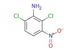 eMolecules​&nbsp;2,6-Dichloro-3-nitroaniline | Advanced ChemBlocks | 13785-48-3 | MFCD11110683 | 207.010 | C6H4Cl2N2O2 | 97.000 | Nc1c(Cl)ccc(c1Cl)[N+]([O-])=O | 1g | 812542403