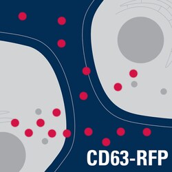 System Biosciences LLC&nbsp;Exosome Cyto-Tracer, pCT-CD63-RFPpCT-CD63-RFP (pCMV, Exosome/Secretory, CD63 Tetraspanin Tag) = 10ug