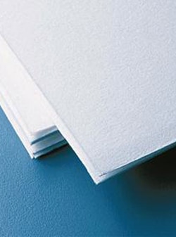 LAB ALLEY&nbsp;Lab Alley P81 Ion Exchange Cellulose Chromatography Paper