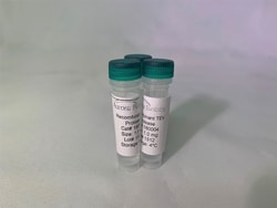 AURORA BIOLABS LLC TEV PROTEASE LYOPHILIZED 1MG, Quantity: Each of 1