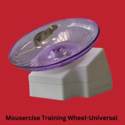 Tactile Robotics Ltd&nbsp;Mousercise&trade;, a wireless running wheel featuring a built-in digital display