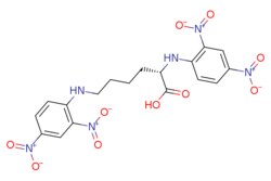 eMolecules​&nbsp;1655-49-8 | N,N-bis(2,4-dinitrophenyl)-L-lysine |  MFCD00056105 | >97.0%