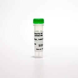 Revvity Health Sciences Inc&nbsp;PhenoVue 503 Lysosomal stain