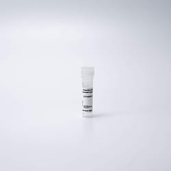 Revvity Health Sciences Inc&nbsp;PhenoVue 633 Lysosomal stain