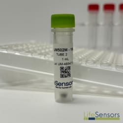 LifeSensors&nbsp;Tandem Ubiquitin Binding Entities (TUBE2) HC Magnetic 50µg