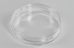 Atlas Biologicals Cell Culture Dish -150mm,TC, sterile, 20ea/pk, 5pks/cs, 100ea/cs