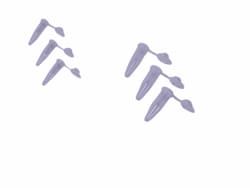 Atlas Biologicals&nbsp;Microcentrifuge Tube -0.5mL, Clear, non-sterile, 1000ea/bag, 10bags/cs, 10,000ea/cs