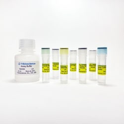 TRIBIOSCIENCE INC Enolase Activity Assay (Colorimetric / Fluorometric),