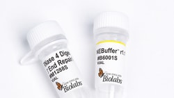 New England Biolabs, Inc.&nbsp;RNase 4 Digestion and 3′ End Repair Mix - 50 reactions