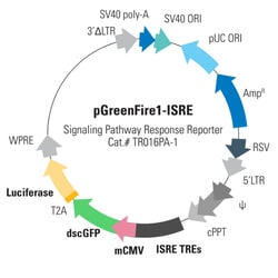 System Biosciences LLC&nbsp;pGreenFire1-ISRE (EF1α-neo) LentivectorpGreenFire1-ISRE (virus) + EF1α-Neo = >2 x 10^6 IFUs