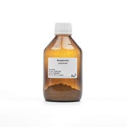 IBA LifeSciences&nbsp;Streptavidin lyophilized