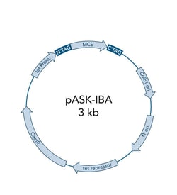 IBA LifeSciences&nbsp;pASK-IBA3C