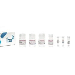 IBA LifeSciences&nbsp;Strep-TactinXT BLI CouplingKit