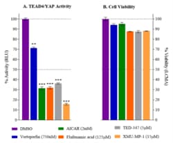 Indigo Biosciences&nbsp;TEAD4/YAP Kit, 3  x 32 96-Well