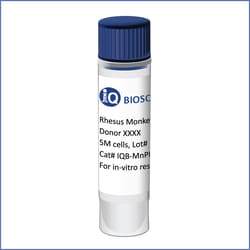 iQ Biosciences&nbsp;Rhesus Monkey PBMCs, No Immunophenotyping, 5M cells/vial
