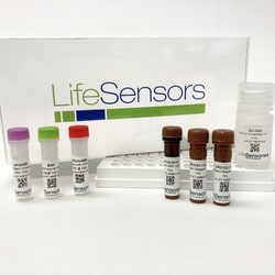 LifeSensors&nbsp;K63 Ubiquitin Linkage ELISA Kit (Chain Selective)