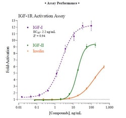 Indigo Biosciences&nbsp;Human IGF-1R All-inclusive Cell-Based Luciferase Reporter Assay Kit, 1x 96-well format assay