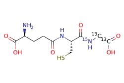eMolecules​&nbsp;Glutathione (glycine-13C2,15N) Sodium Salt | Toronto Research Chemicals |  | MFCD07369422 | 310.300 | C10H17N3O6S | 95.000 | N[C@@H](CCC(=O)N[C@@H](CS)C(=O)[15NH][13CH2][13C](O)=O)C(O)=O | 1mg | 866848777