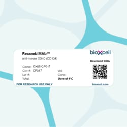 Bio X Cell RecombiMAb Anti-Mouse OX40 (CD134) Antibody, Clone OX86-CP017,