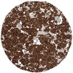 Genetex Inc&nbsp;NSE Monoclonal Antibody [MSVA-451M] HistoMAX™ (GTX04388) GeneTex - IHC-Optimized Antibody.