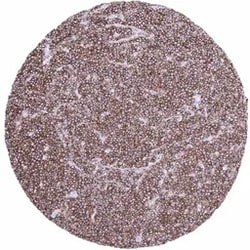 Genetex Inc&nbsp;CD45 Monoclonal Antibody [MSVA-045R] HistoMAX™ (GTX04432) GeneTex - IHC-Optimized Antibody.