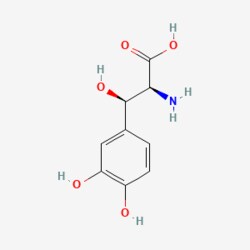 BIORBYT LLC DroxidopaL-DOPSSM-5688