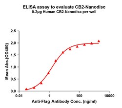 BIORBYT LLC HumanCB2fulllengthprotein-synt
