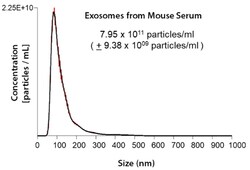 System Biosciences LLC MOUSE SERUM POOLED EXOSOMESPurified Exosomes from