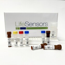 LifeSensors&nbsp;PROTAC In Vitro Ubiquitination Assay Kit