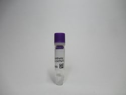 ATCC&nbsp;Quantitative Synthetic Avian Influenza Virus (H7N7) RNA