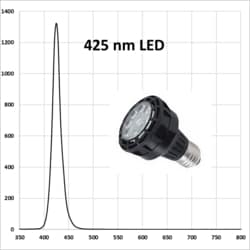 HEPATOCHEM EvoluChem LED PF series LED 425 nm for photochemistry Dimmable 110V