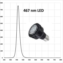 HEPATOCHEM EvoluChem LED PF series LED 467 nm for photochemistry Dimmable 110V