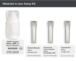 Montana Molecular AKAP1-targeted cADDis cAMP, Quantity: Each of 1