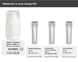 Montana Molecular AKAP12-targeted cADDis cAMP
