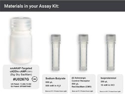 Montana Molecular smAKAP-targeted cADDis cAMP