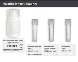 Montana Molecular&nbsp;Green Down DAG Assay - 15mL