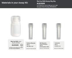 Montana Molecular&nbsp;Red Up DAG Assay - 5mL